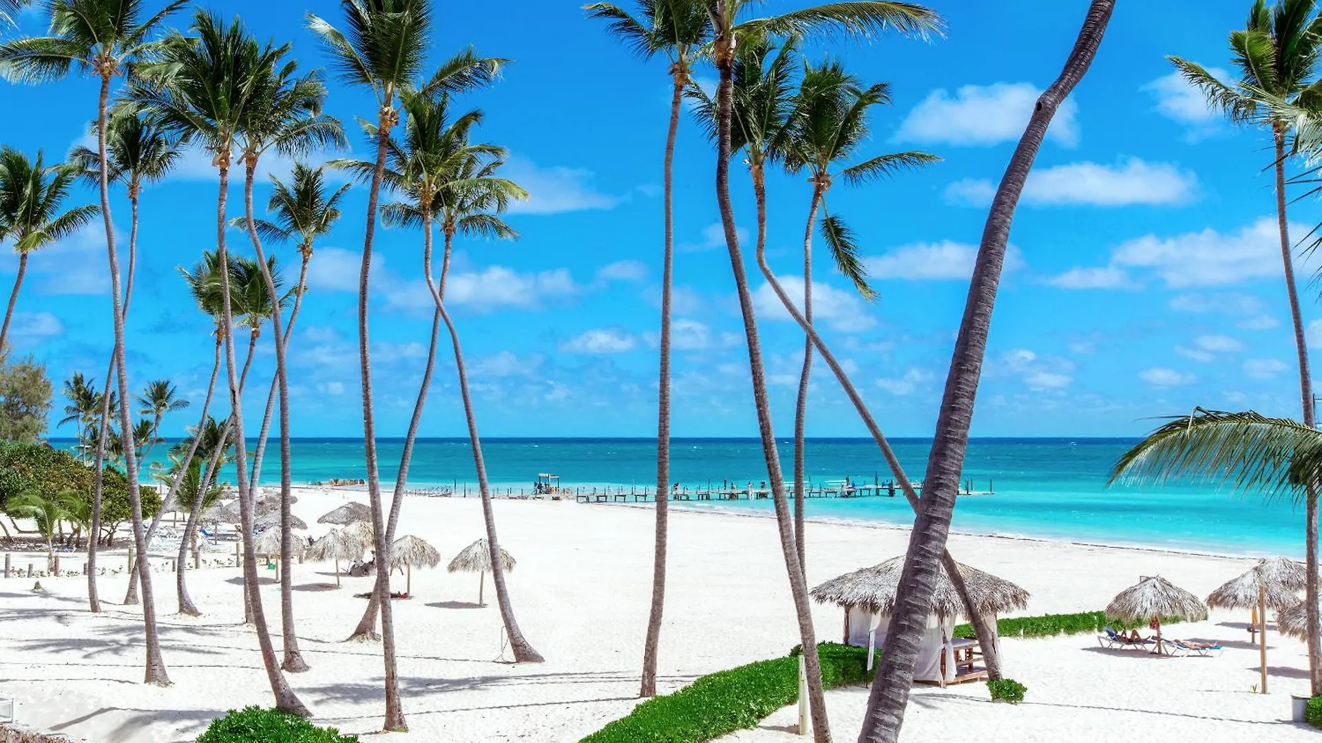 Sunny Studios Deluxe Playa Los Corales - Wifi, Beach, Pool プンタ・カナ アパートホテル
